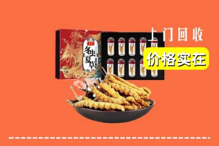 潜江市回收冬虫夏草